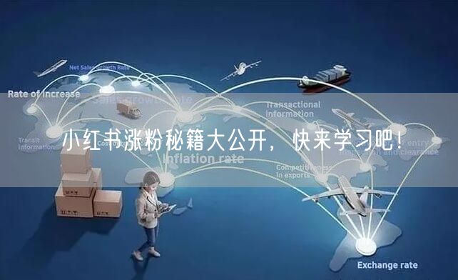 小红书涨粉秘籍大公开,快来学习吧!