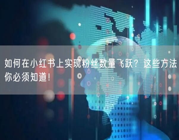 如何在小红书上实现粉丝数量飞跃？这些方法你必须知道！