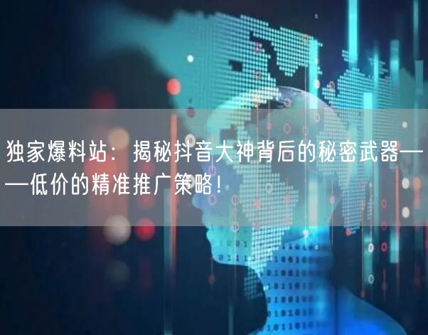 独家爆料站:揭秘抖音大神背后的秘密武器——低价的精准推广策略!