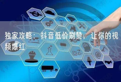 独家攻略:抖音低价刷赞,让你的视频爆红