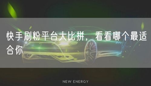 快手刷粉平台大比拼,看看哪个最适合你
