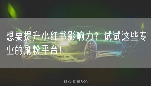 想要提升小红书影响力?试试这些专业的刷粉平台!