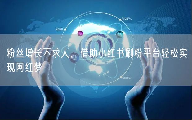 粉丝增长不求人,借助小红书刷粉平台轻松实现网红梦