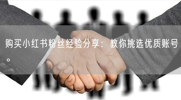 购买小红书粉丝经验分享:教你挑选优质账号。