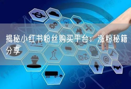 揭秘小红书粉丝购买平台:涨粉秘籍分享