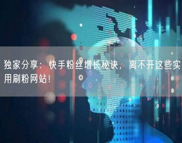 独家分享:快手粉丝增长秘诀,离不开这些实用刷粉网站!