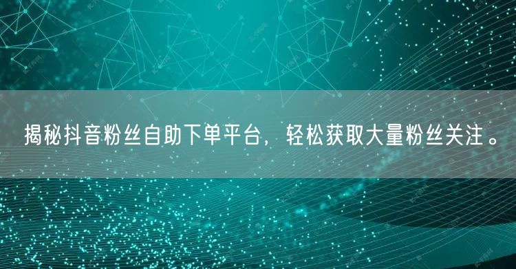 揭秘抖音粉丝自助下单平台，轻松获取大量粉丝关注。