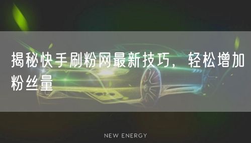 揭秘快手刷粉网最新技巧,轻松增加粉丝量