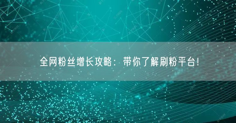 全网粉丝增长攻略:带你了解刷粉平台!