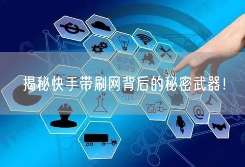 揭秘快手带刷网背后的秘密武器!