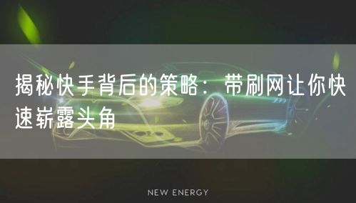 揭秘快手背后的策略:带刷网让你快速崭露头角