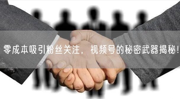 零成本吸引粉丝关注,视频号的秘密武器揭秘!