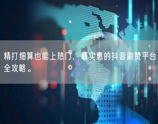 精打细算也能上热门,最实惠的抖音刷赞平台全攻略。