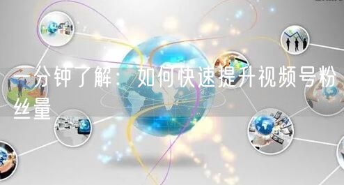 一分钟了解:如何快速提升视频号粉丝量