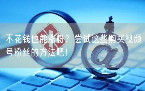 不花钱也能涨粉?尝试这些购买视频号粉丝的方法吧!