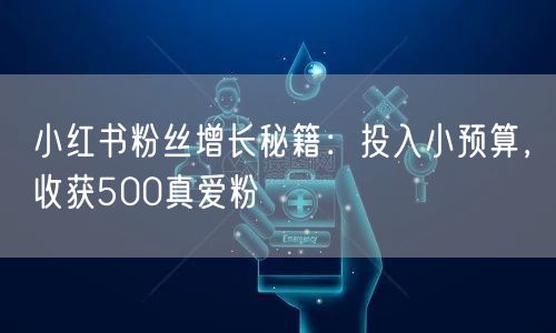 小红书粉丝增长秘籍:投入小预算,收获500真爱粉