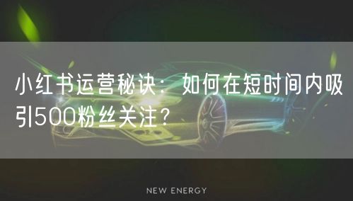 小红书运营秘诀:如何在短时间内吸引500粉丝关注?