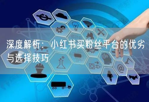 深度解析:小红书买粉丝平台的优劣与选择技巧