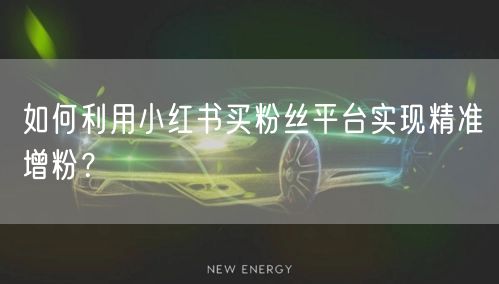 如何利用小红书买粉丝平台实现精准增粉?