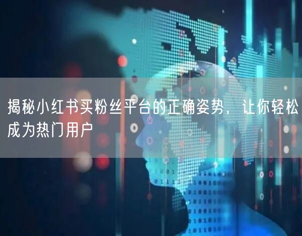 揭秘小红书买粉丝平台的正确姿势,让你轻松成为热门用户