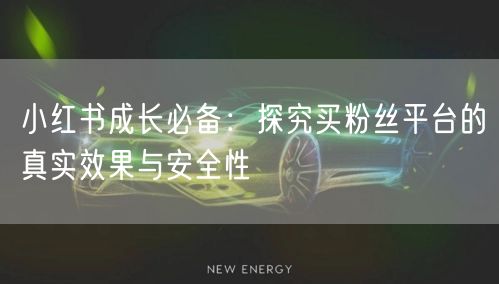 小红书成长必备:探究买粉丝平台的真实效果与安全性