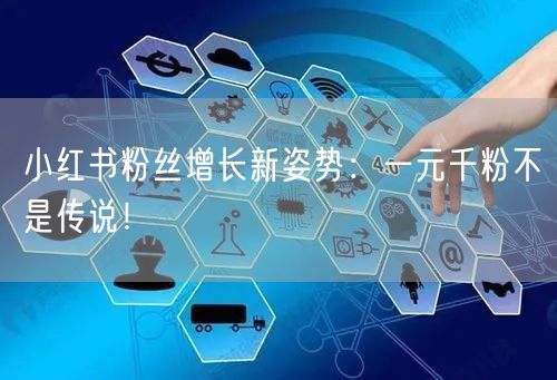小红书粉丝增长新姿势:一元千粉不是传说!
