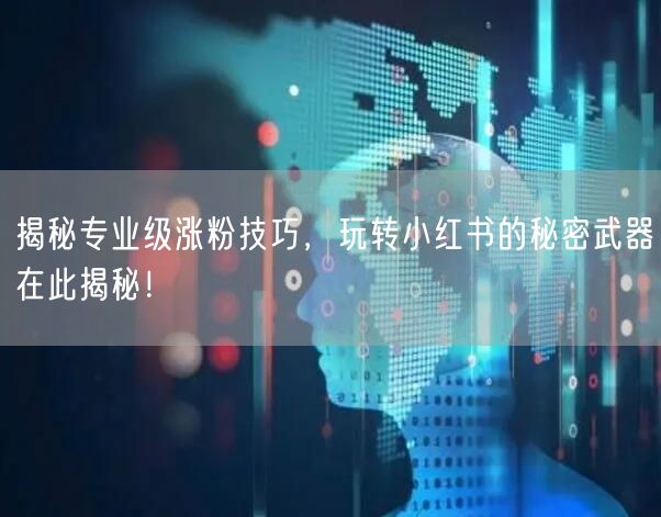 揭秘专业级涨粉技巧，玩转小红书的秘密武器在此揭秘！