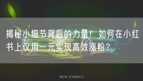 揭秘小细节背后的力量!如何在小红书上仅用一元实现高效涨粉?