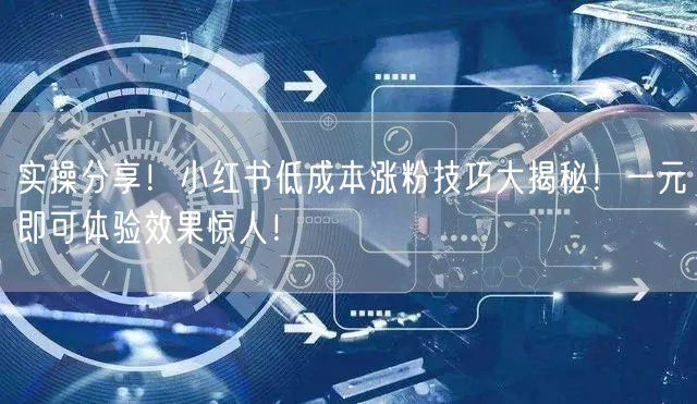 实操分享!小红书低成本涨粉技巧大揭秘!一元即可体验效果惊人!