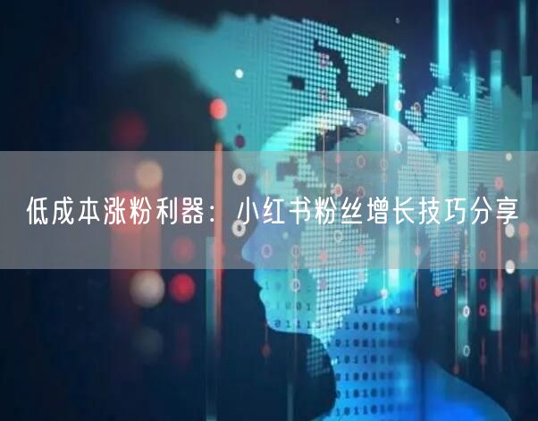 低成本涨粉利器:小红书粉丝增长技巧分享