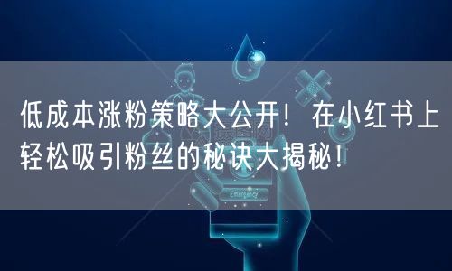低成本涨粉策略大公开!在小红书上轻松吸引粉丝的秘诀大揭秘!