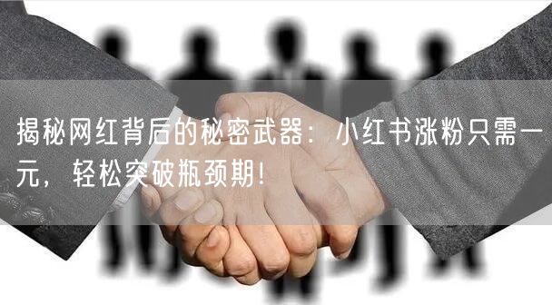 揭秘网红背后的秘密武器:小红书涨粉只需一元,轻松突破瓶颈期!