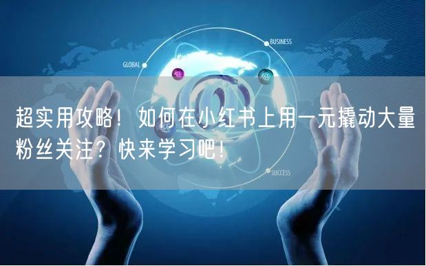 超实用攻略!如何在小红书上用一元撬动大量粉丝关注?快来学习吧!