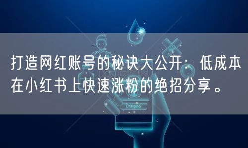 打造网红账号的秘诀大公开:低成本在小红书上快速涨粉的绝招分享。