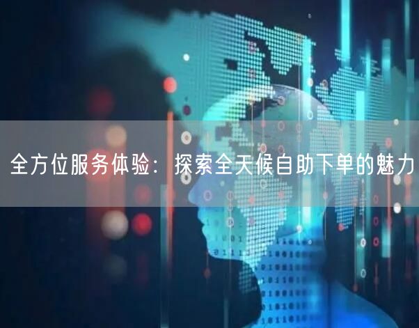 全方位服务体验:探索全天候自助下单的魅力