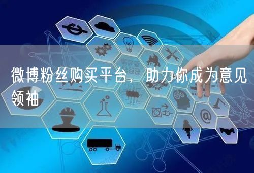 微博粉丝购买平台,助力你成为意见领袖