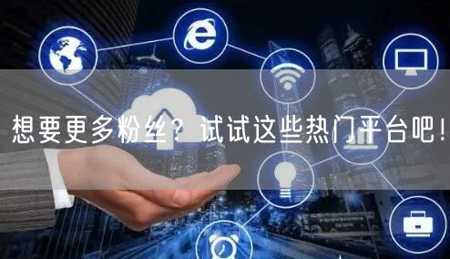 想要更多粉丝?试试这些热门平台吧!