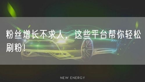 粉丝增长不求人,这些平台帮你轻松刷粉!