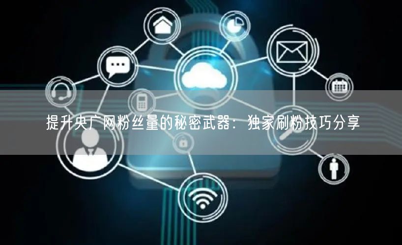 提升央广网粉丝量的秘密武器：独家刷粉技巧分享