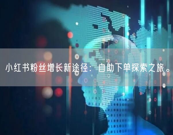 小红书粉丝增长新途径:自助下单探索之旅。