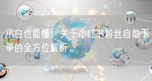 小白也能懂！关于小红书粉丝自助下单的全方位解析。