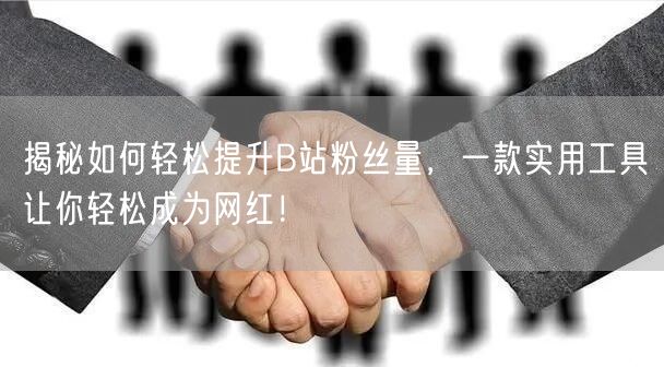 揭秘如何轻松提升B站粉丝量，一款实用工具让你轻松成为网红！