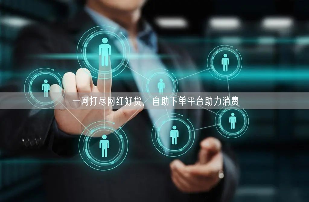 一网打尽网红好货,自助下单平台助力消费