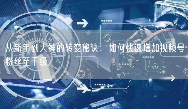 从新手到大神的转变秘诀：如何快速增加视频号粉丝至千级