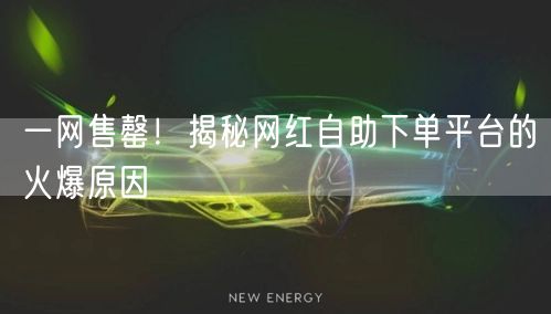 一网售罄!揭秘网红自助下单平台的火爆原因