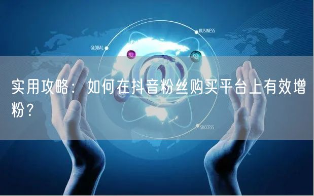 实用攻略:如何在抖音粉丝购买平台上有效增粉?