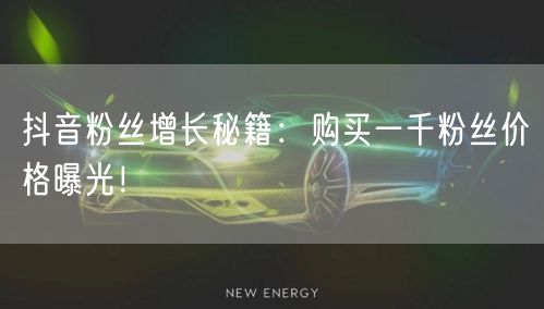 抖音粉丝增长秘籍:购买一千粉丝价格曝光!