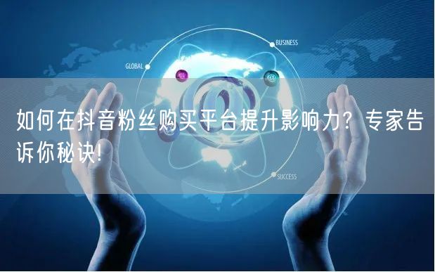 如何在抖音粉丝购买平台提升影响力?专家告诉你秘诀!