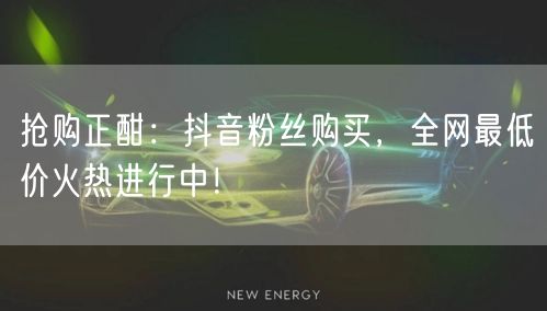 抢购正酣:抖音粉丝购买,全网最低价火热进行中!