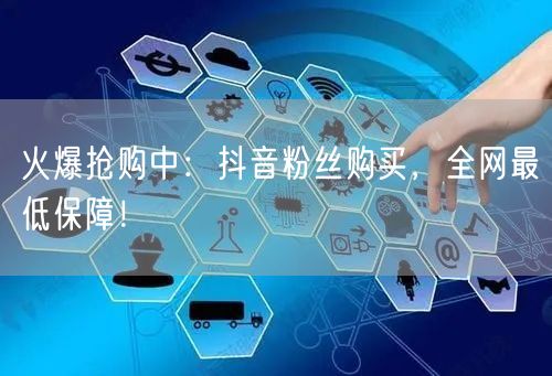 火爆抢购中:抖音粉丝购买,全网最低保障!